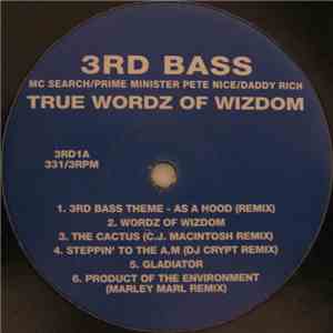 3rd Bass - True Wordz Of Wizdom download mp3 flac