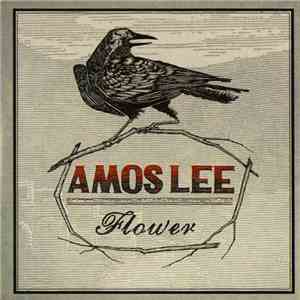 Amos Lee - Flower download free