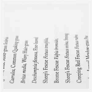 AR - Wolf Notes download free
