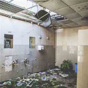 Bad Breeding - Burn This Flag download mp3 flac