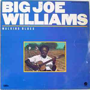 Big Joe Williams - Walking Blues download free