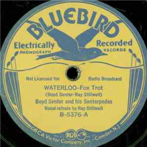 Boyd Senter And His Senterpedes - Waterloo / Give It To Me Right Away download free