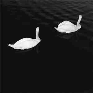 Cashmere Cat Featuring Ariana Grande - Adore download free