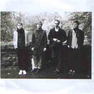 Cats On Fire - Tears In Your Cup download free