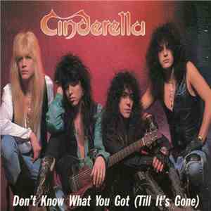 Cinderella  - Don't Know What You Got (Till It's Gone) download free