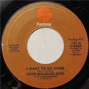 David Bromberg Band - I Want To Go Home download free