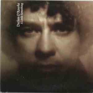 Declan O'Rourke - A Little Something download free