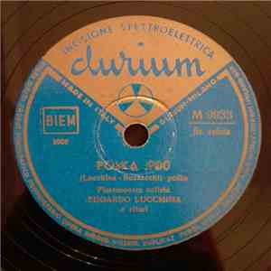 Edoardo Lucchina - Polka 900 / Elettrico download mp3 flac