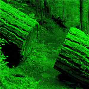 Fritz Welch - a desire to push forward without gaining access to anything download free