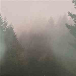Pattern Is Movement - The Silence Of The Trees download mp3 flac