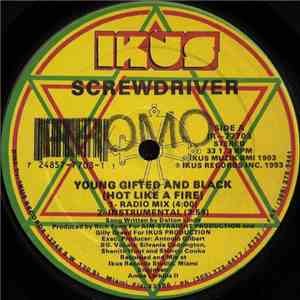 Screwdriver  - Young Gifted And Black (Hot Like A Fire) download mp3 flac