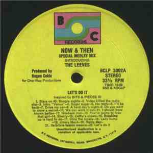 The Leeves - Now & Then Special Medley Mix download mp3 flac