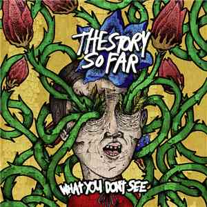 The Story So Far  - What You Don't See download free
