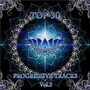 Various - Top 30 Progressive Tracks Vol. 2 download mp3 flac